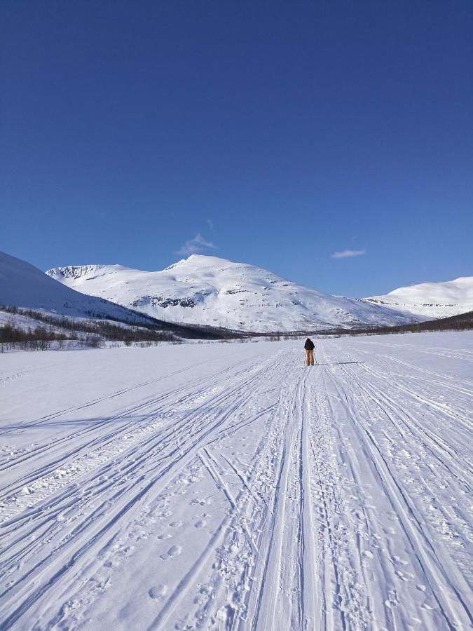 Lapphaugen Turiststasjon Vila Tennevoll Exterior foto