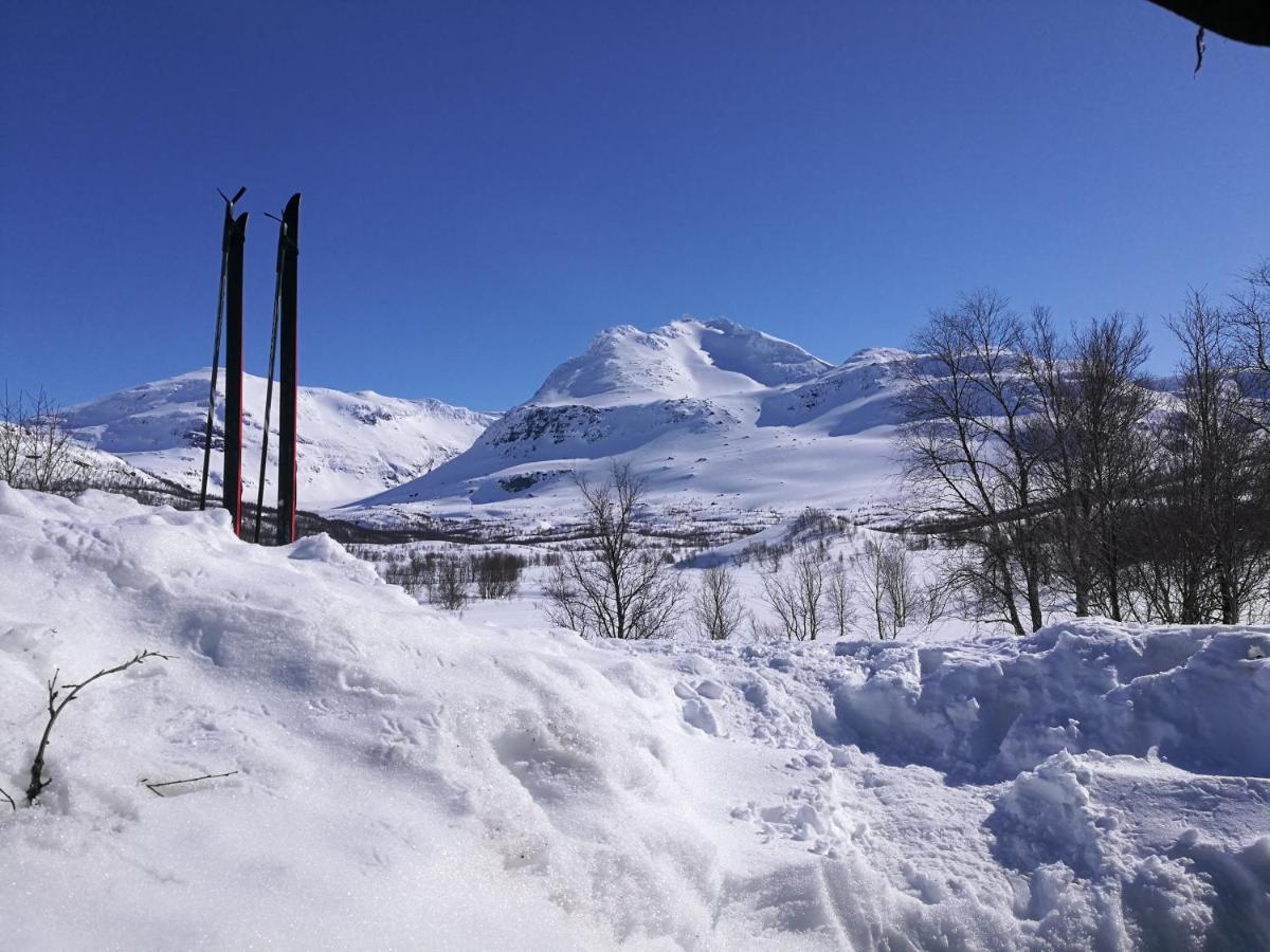 Lapphaugen Turiststasjon Vila Tennevoll Exterior foto