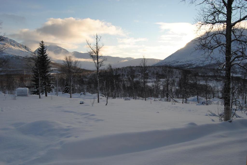 Lapphaugen Turiststasjon Vila Tennevoll Quarto foto