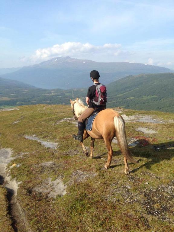 Lapphaugen Turiststasjon Vila Tennevoll Exterior foto
