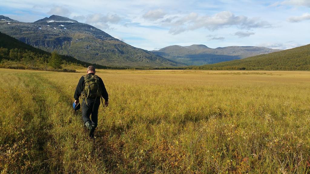 Lapphaugen Turiststasjon Vila Tennevoll Exterior foto